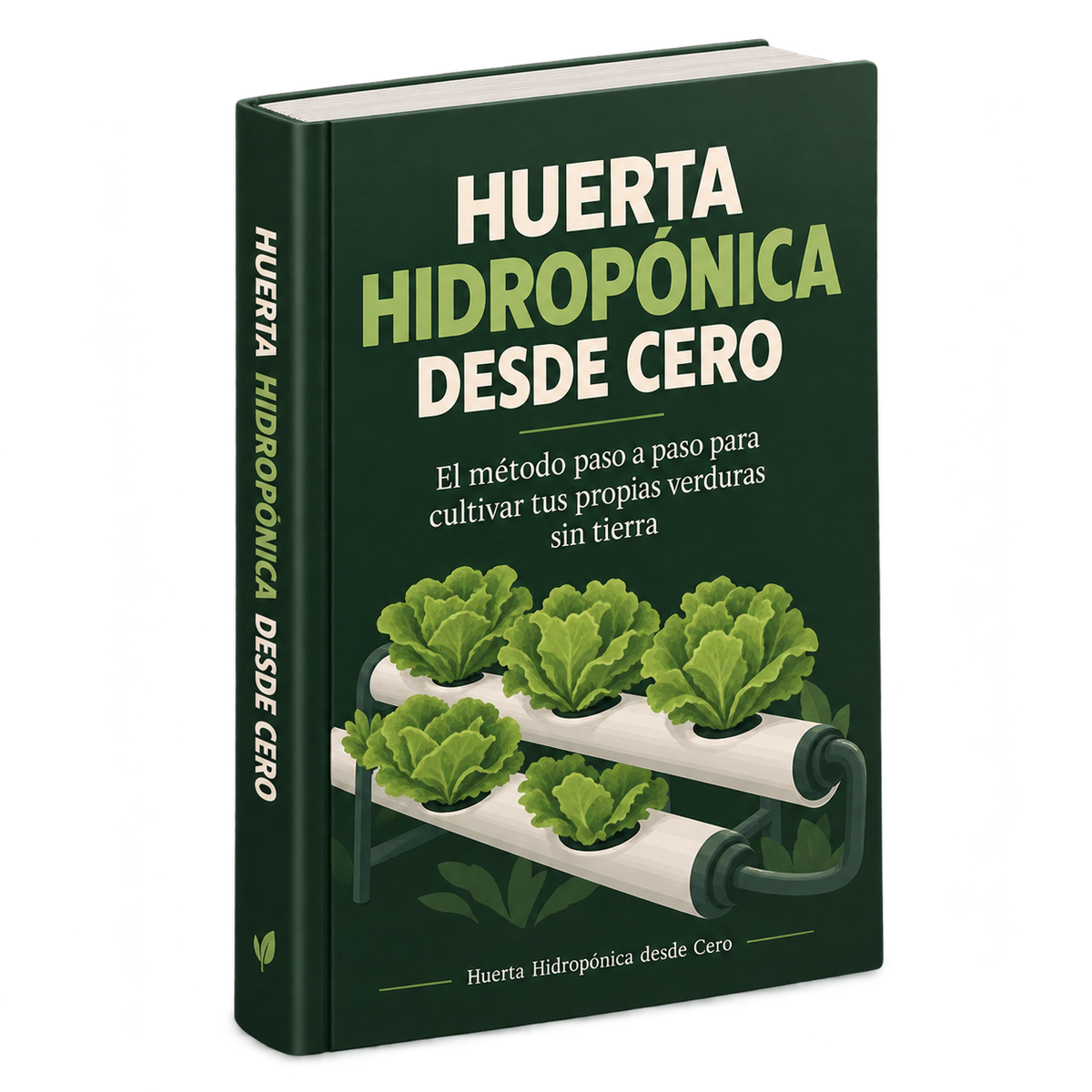 Pack Huerta Hidropónica desde Cero